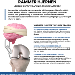 Når ACL-skaden rammer hjernen: Neurale aspekter af en klassisk knæskade